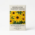 Echinacea Purpurea - Purple Coneflower