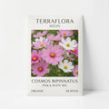 Calendula Officinalis - Pot Marigold